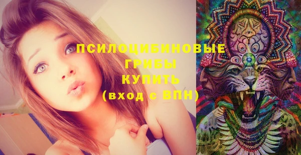 кристаллы Сатка