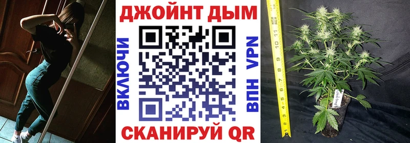 Каннабис OG Kush  Валдай 